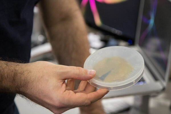 A Pocket Spacecraft in a petri dish.