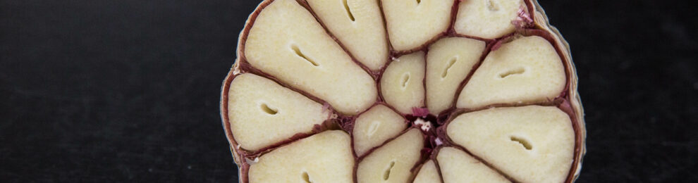 Trypophobia Trypophobia